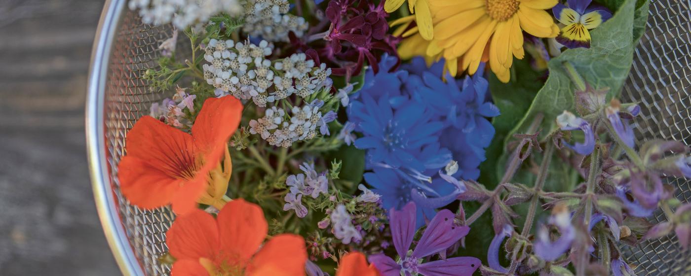 Blüten