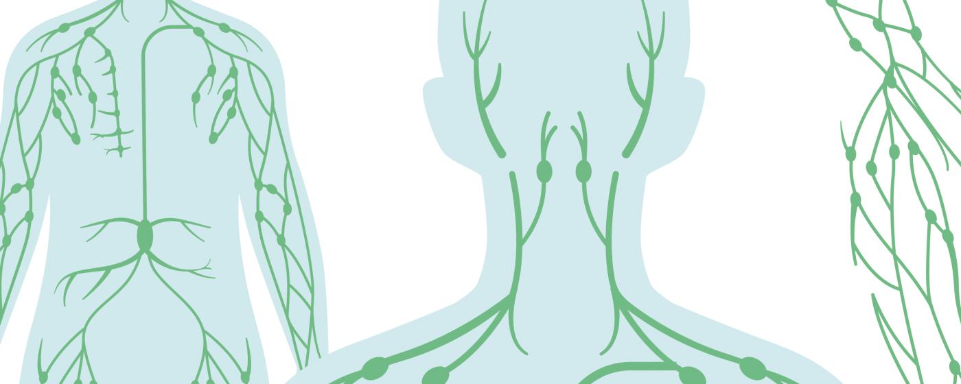 Lymphsystem