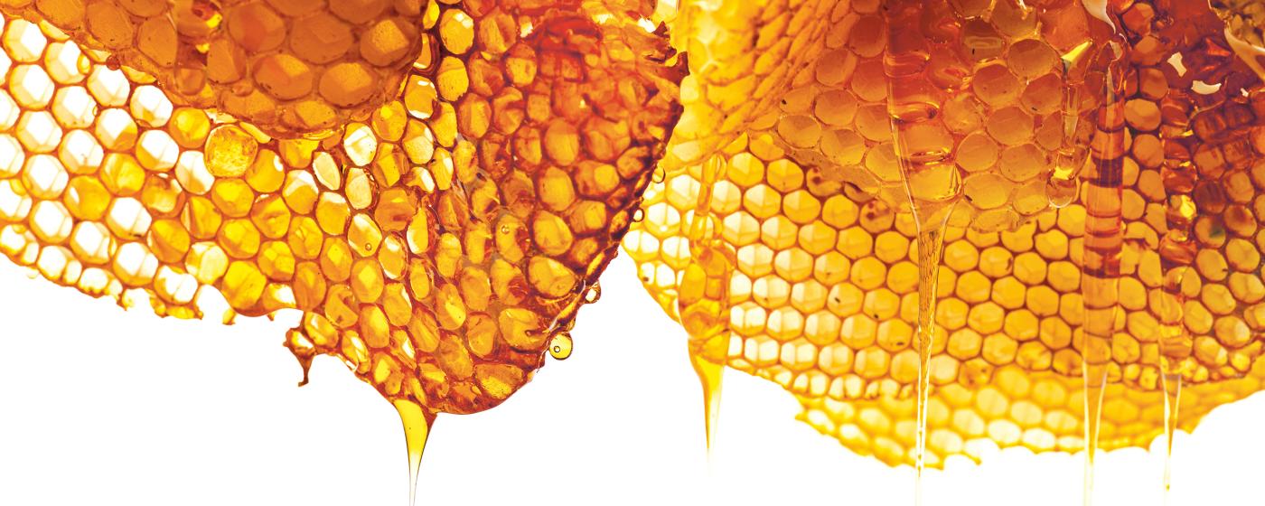 Bienenstock