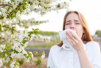Allergie Pollen