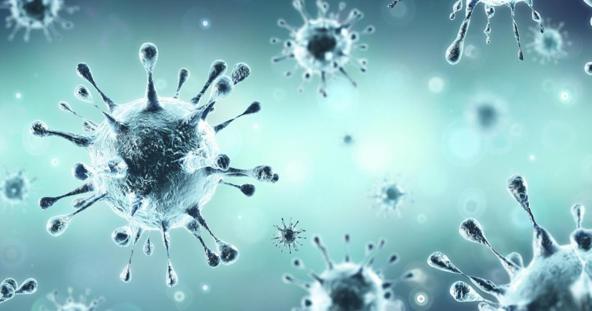 covid 19 antikorpertest achillea