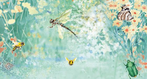 Insekten