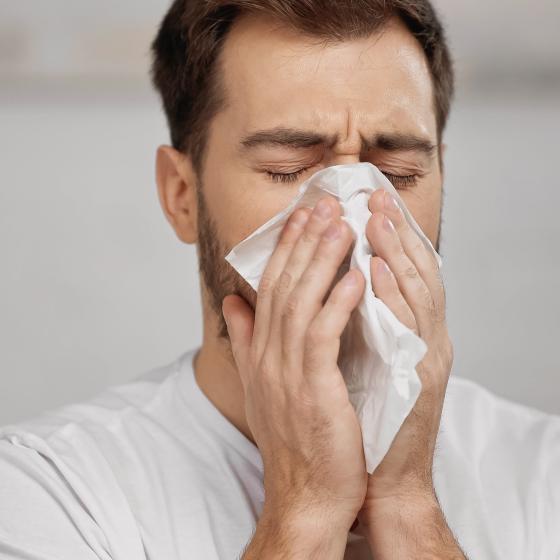 Allergie